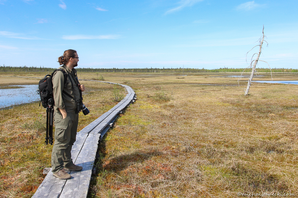Jak zostać fotografem przyrody