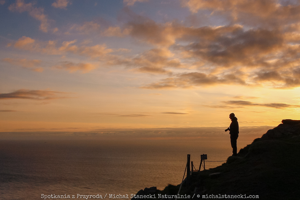 Jak zostać fotografem przyrody